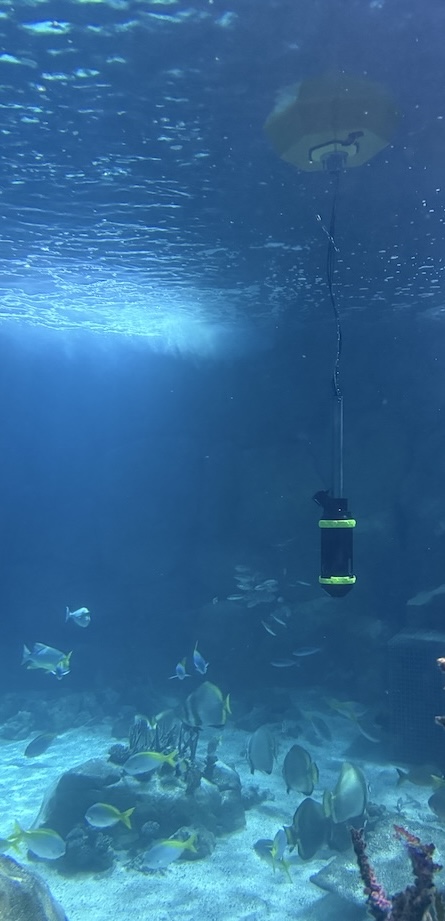 Buoy in tank