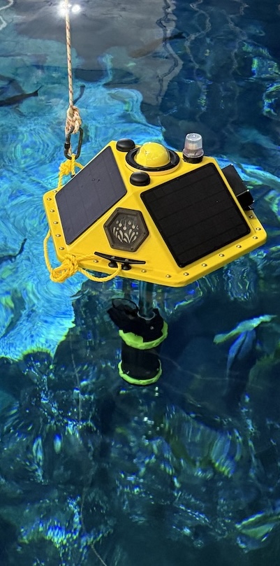 Baseline Buoy