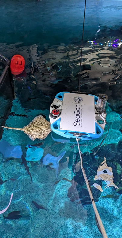 Baseline Buoy