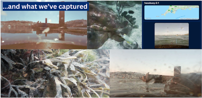What we've captured