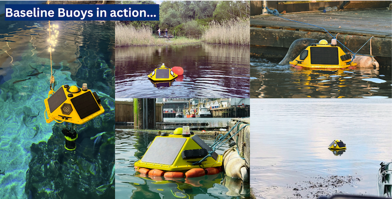 Buoys in action